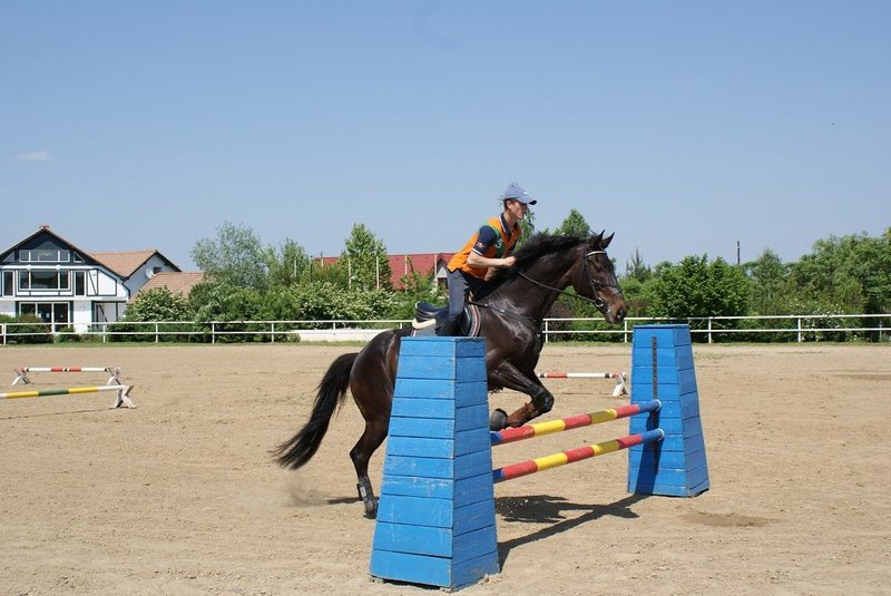 Arkadia Horse Club - Cursuri echitatie